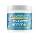 Collagen Active+ With L-Glutamine 5000mg collagen active+ with l glutamine 5000mg